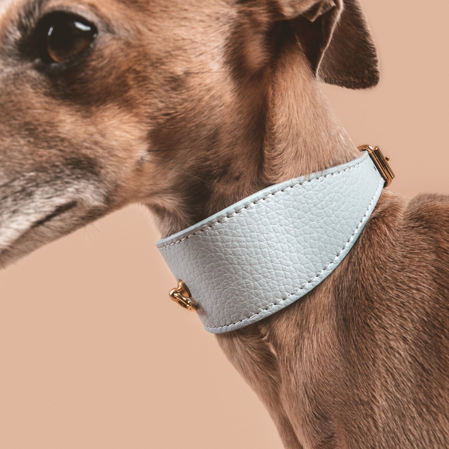 COLLAR GALGO JUNO AZUL CIELO