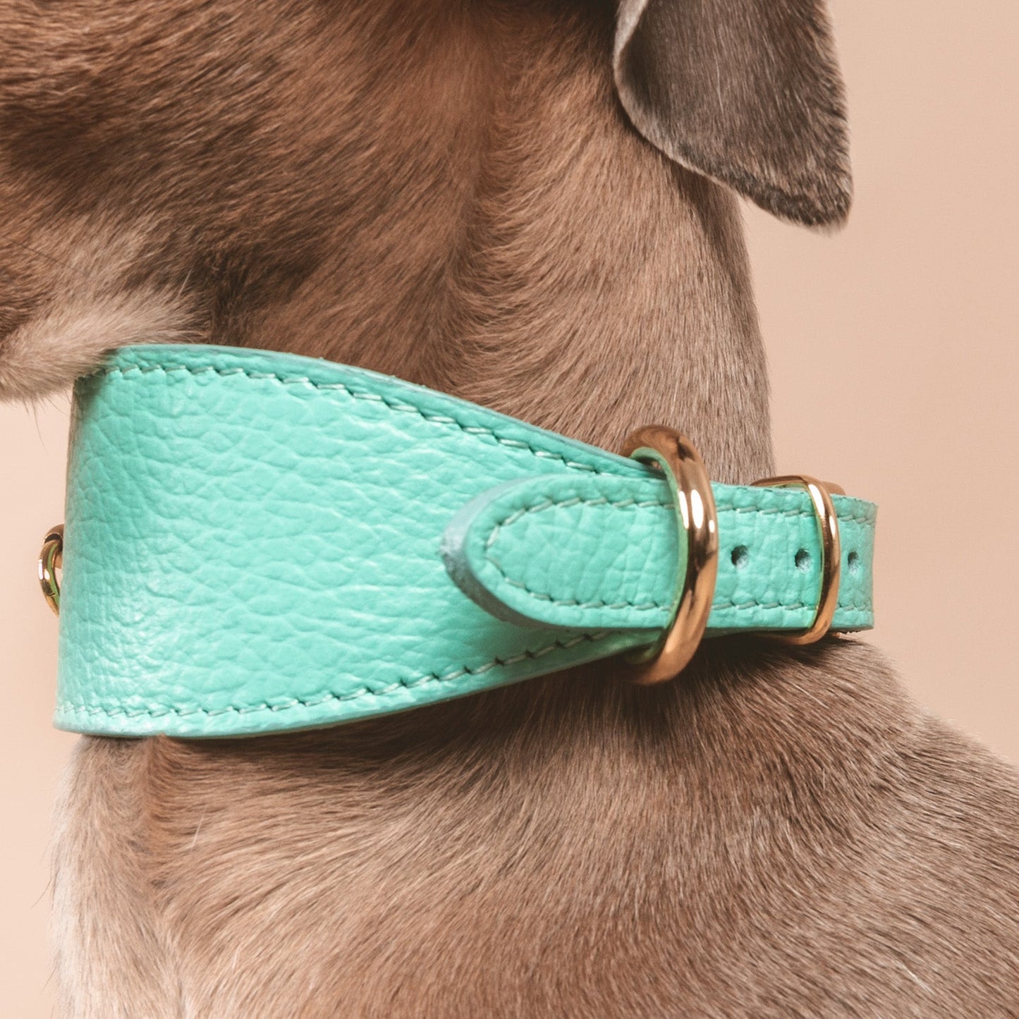 COLLAR GALGO JUNO TURQUESA