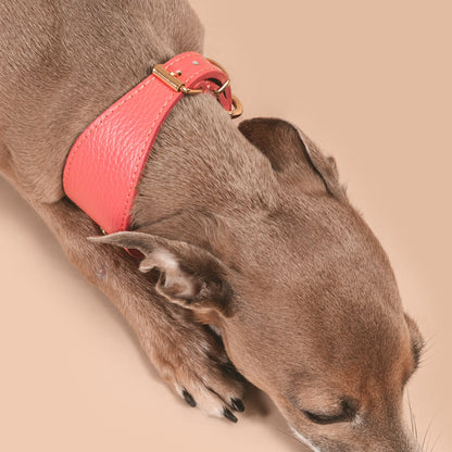 COLLAR GALGO JUNO CORAL