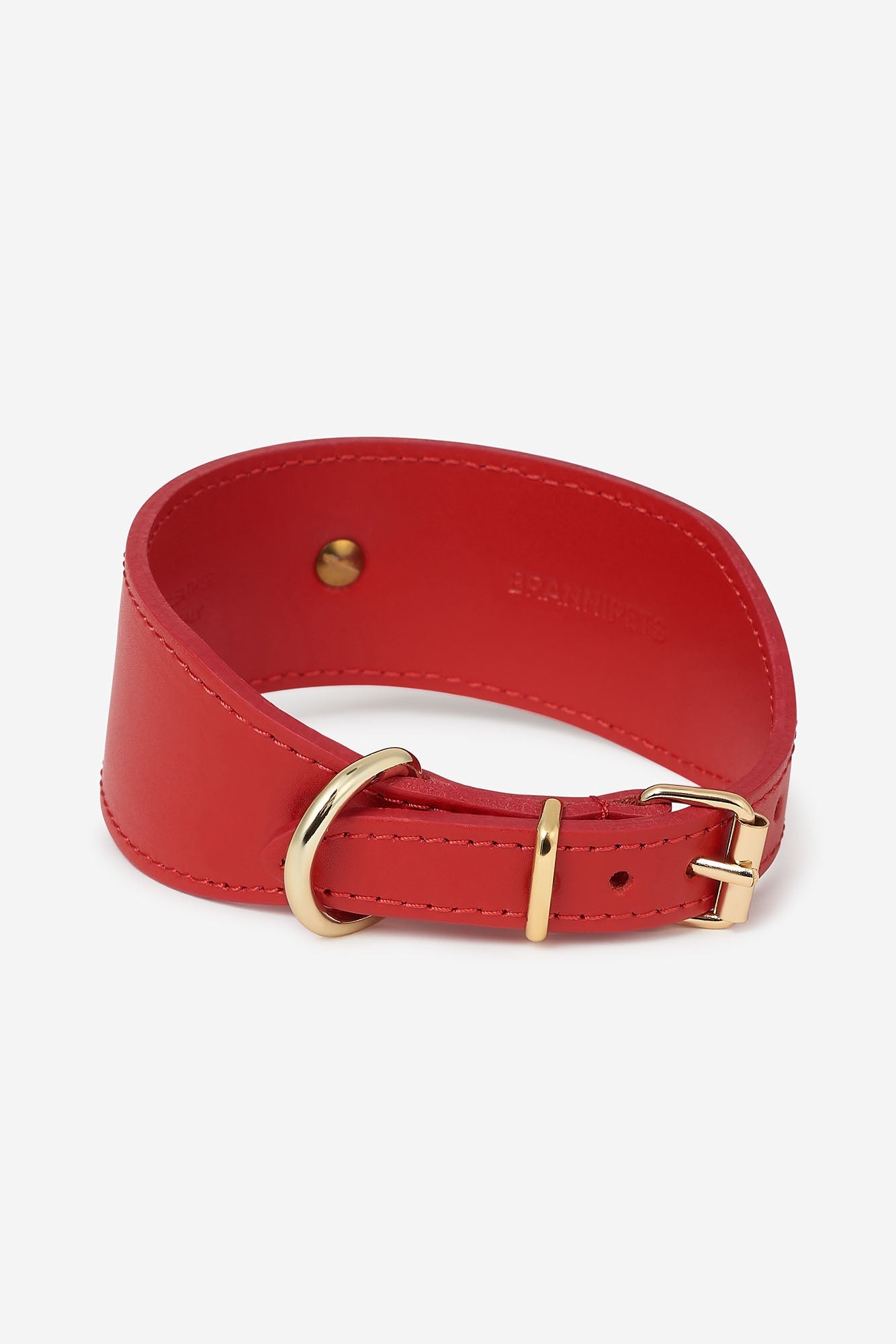 Parte trasera de la hebilla del collar rojo para galgos