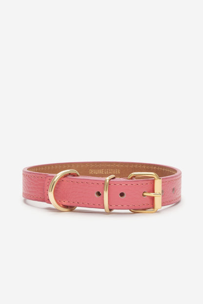 Collar para perro Juno coral trasera