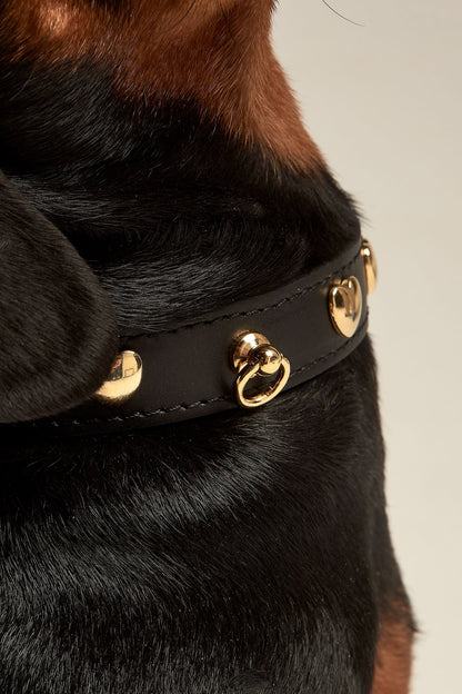 Portamedallitas del collar para perros negro de la colección Nara